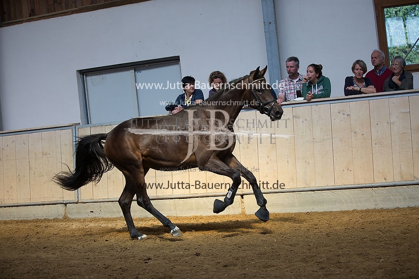 Preview 15-HVA-036_JB_20386.JPG