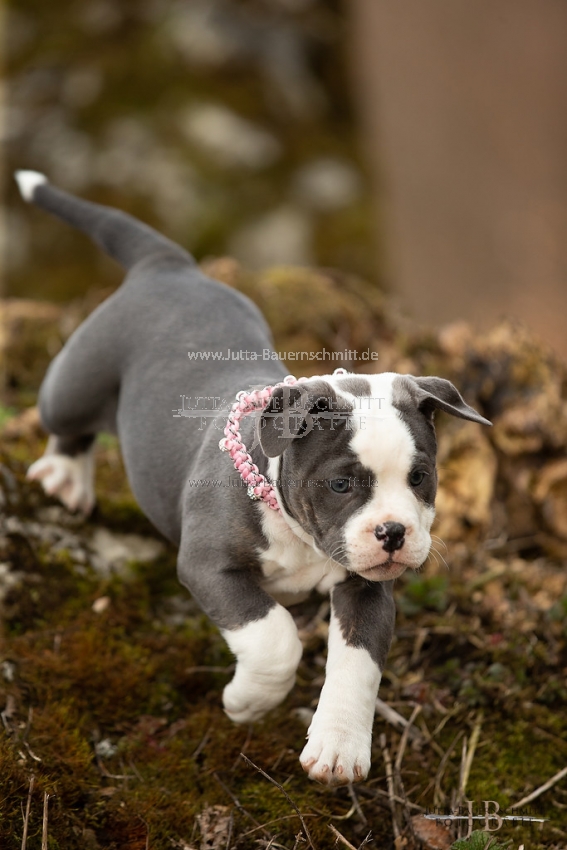 Preview 19-Mia_JB_03804.jpg