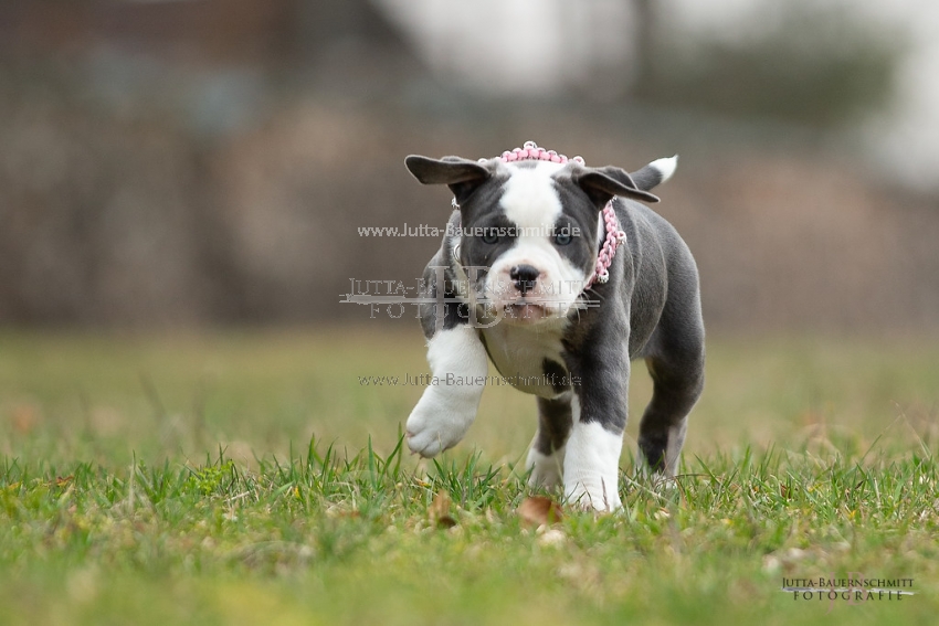 Preview 19-Mia_JB_03855.jpg
