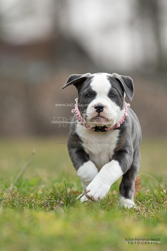 Preview 19-Mia_JB_03861.jpg