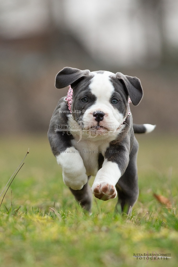 Preview 19-Mia_JB_03863.jpg