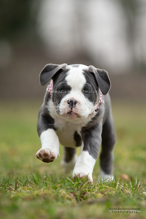 Preview 19-Mia_JB_03873.jpg