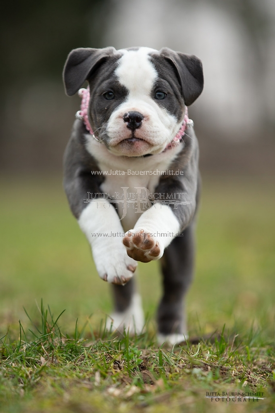 Preview 19-Mia_JB_03876.jpg