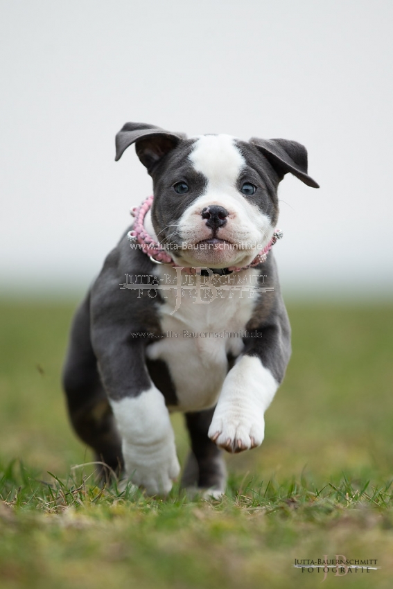 Preview 19-Mia_JB_03892.jpg