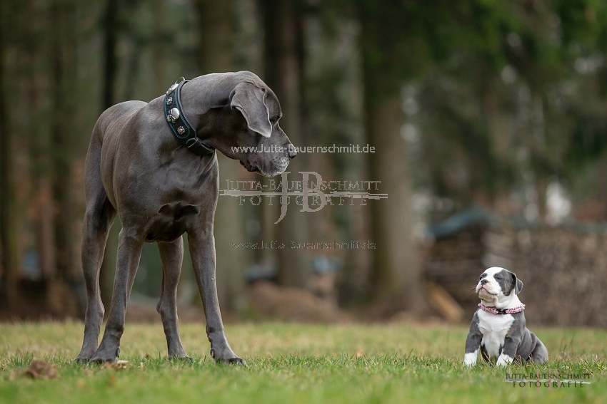 Preview 19-Mia_JB_03905.jpg